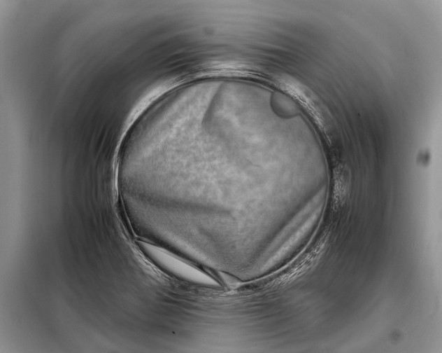X0000097961370200804071019