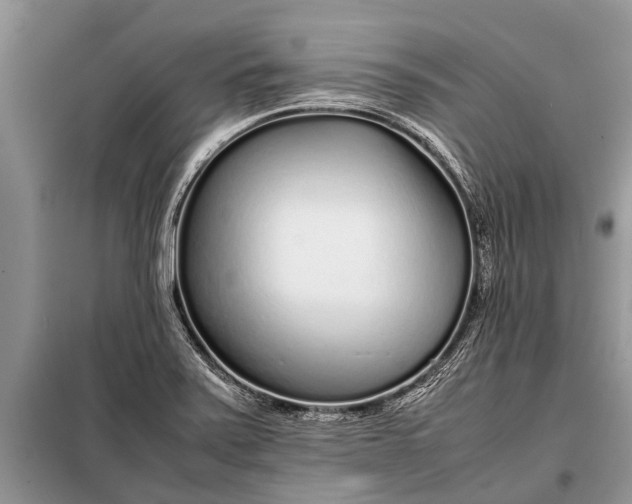 X0000097961371200804071019