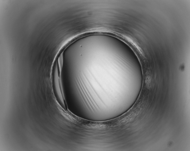 X0000097961372200804071019