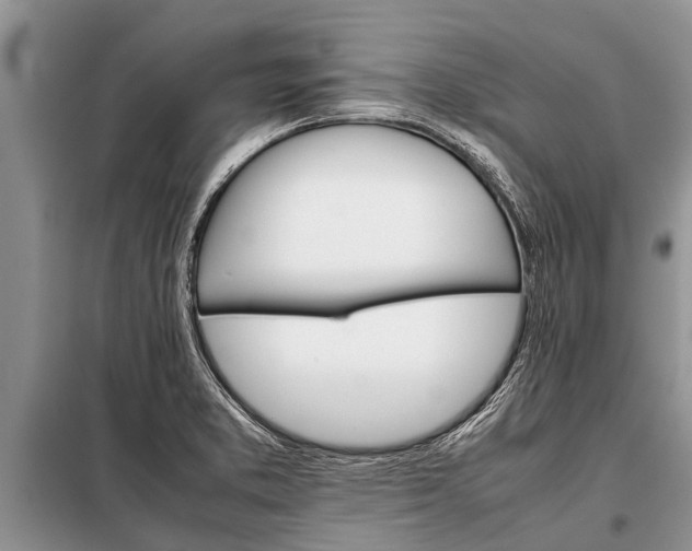 X0000097961373200804071019
