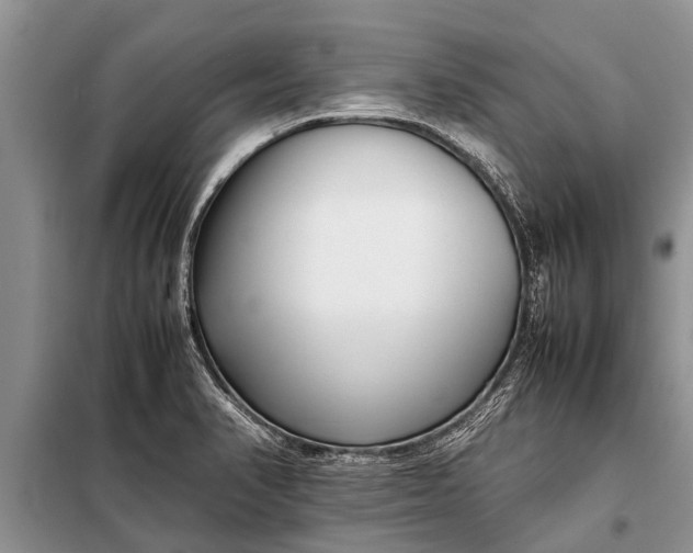 X0000097961374200804071019