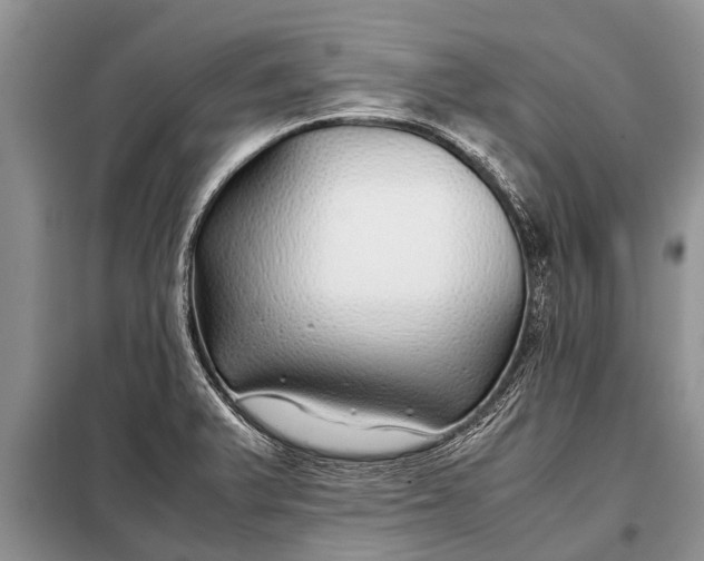 X0000097961375200804071019