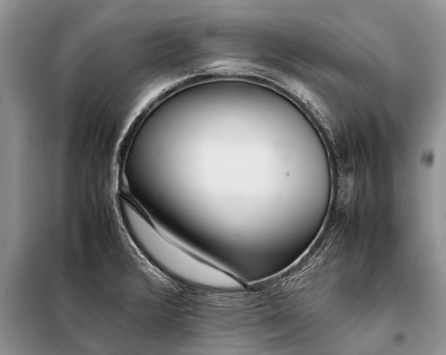X0000097961376200804071019