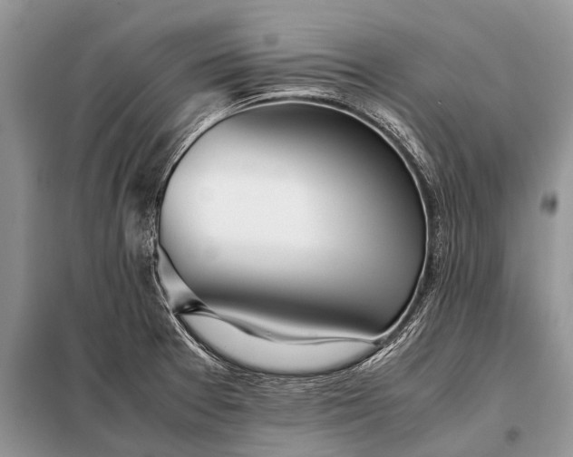 X0000097961377200804071019
