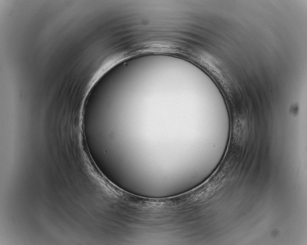X0000097961378200804071019