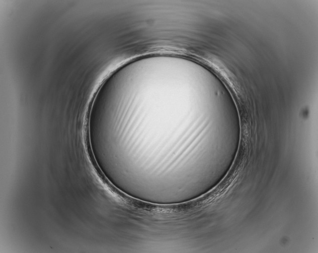 X0000097961379200804071019