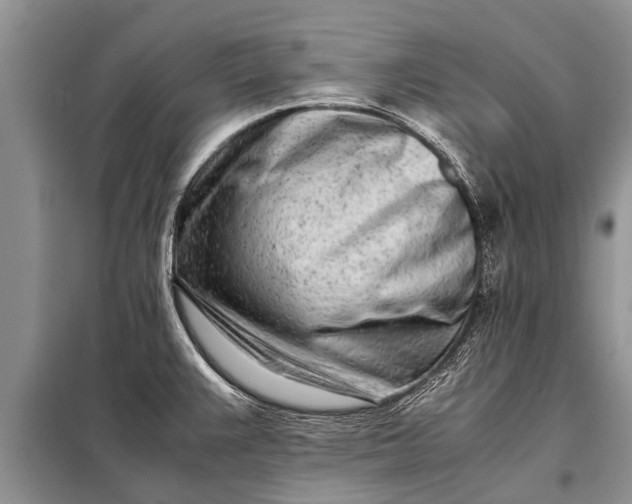 X0000097961383200804071019