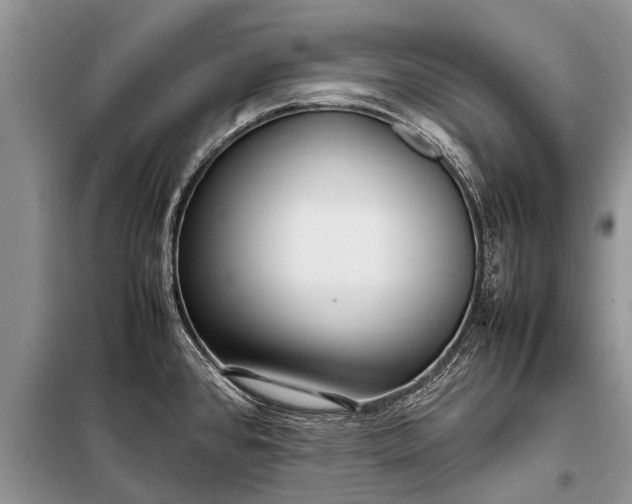 X0000097961384200804071019
