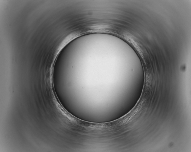 X0000097961386200804071019