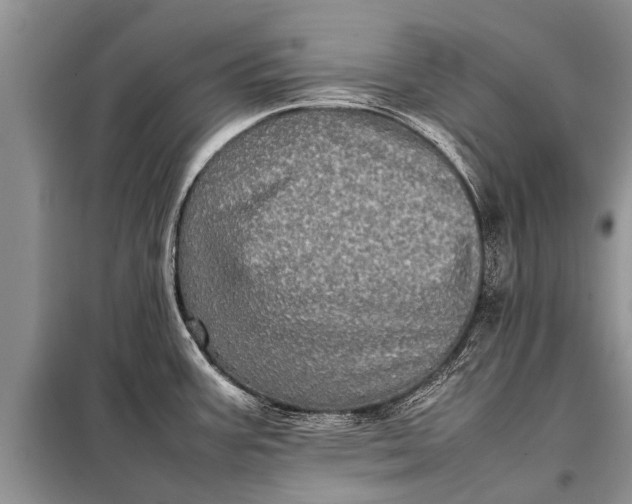 X0000097961387200804071019