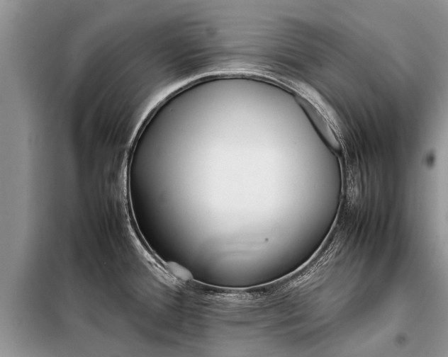 X0000097961388200804071019