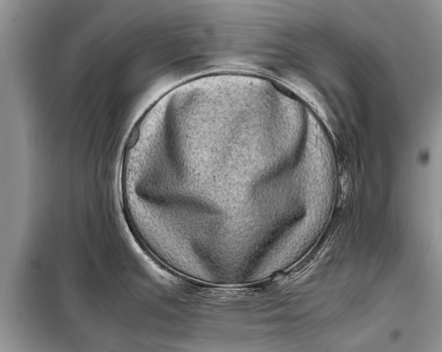 X0000097961391200804071019