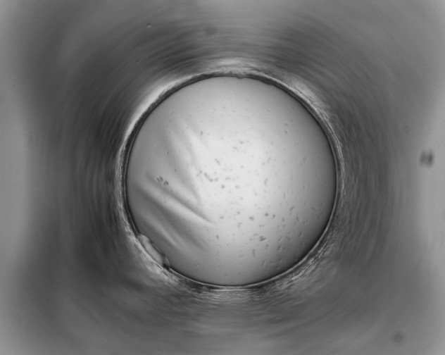 X0000097961392200804071019