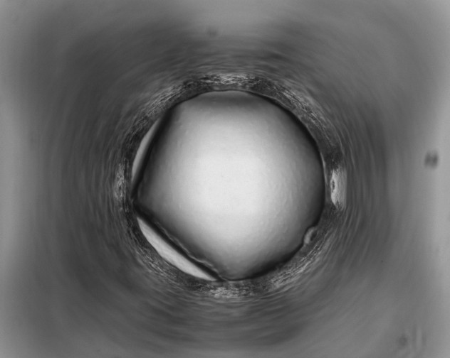 X0000097961395200804071018