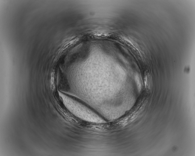 X0000097961396200804071018