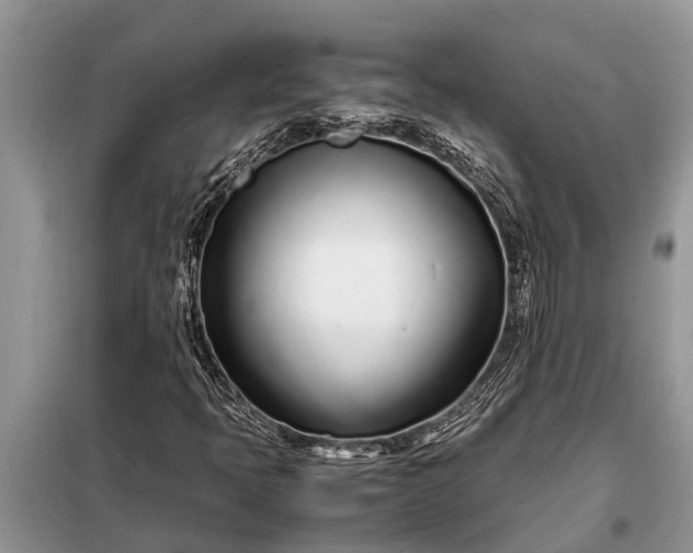 X0000097961397200804071018