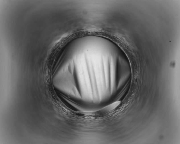 X0000097961398200804071018
