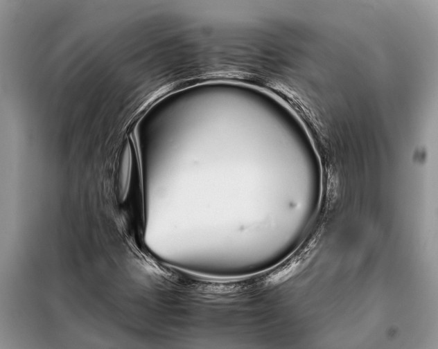 X0000097961401200804071018