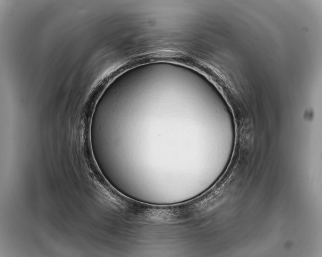 X0000097961402200804071018