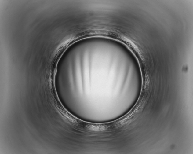 X0000097961403200804071018
