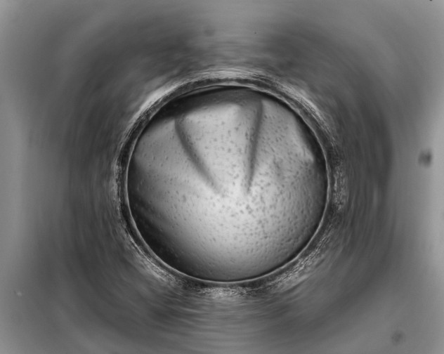 X0000097961404200804071018
