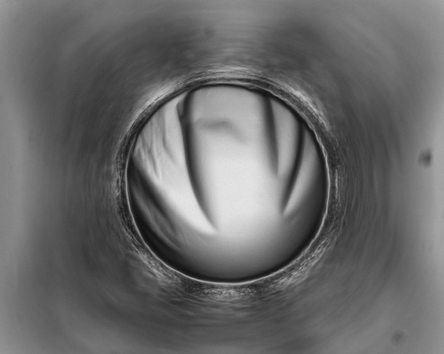 X0000097961405200804071018