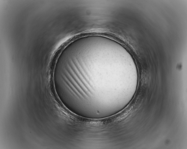 X0000097961406200804071019