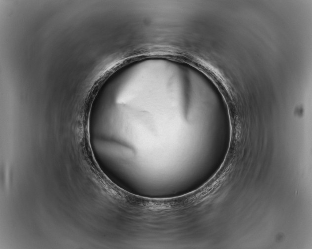 X0000097961407200804071019