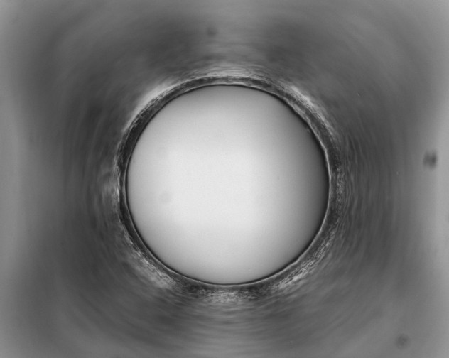 X0000097961408200804071019