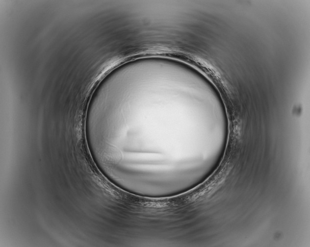 X0000097961409200804071019