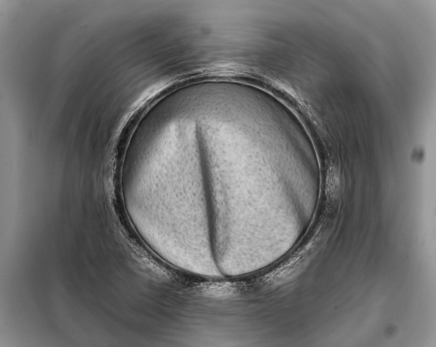 X0000097961410200804071019