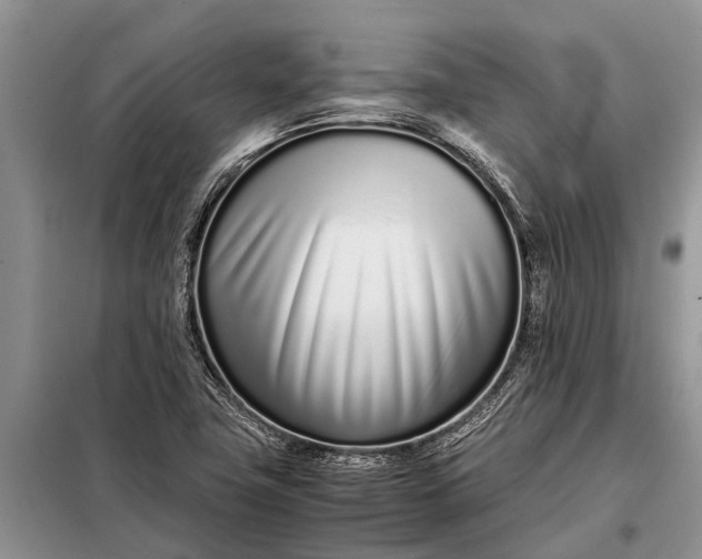 X0000097961411200804071019