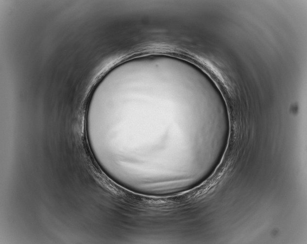 X0000097961413200804071019