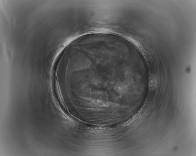 X0000097961414200804071019