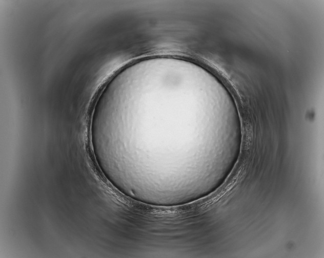 X0000097961415200804071019