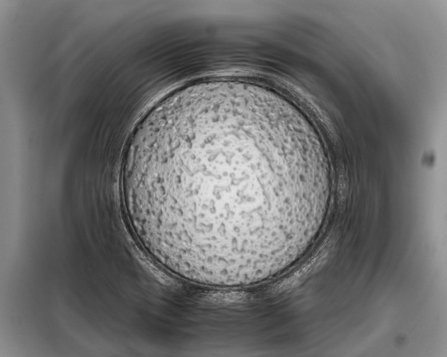 X0000097961417200804071019