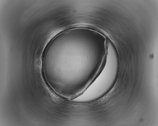 X0000097961418200804071019
