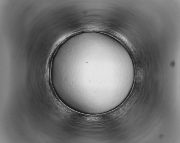 X0000097961419200804071019