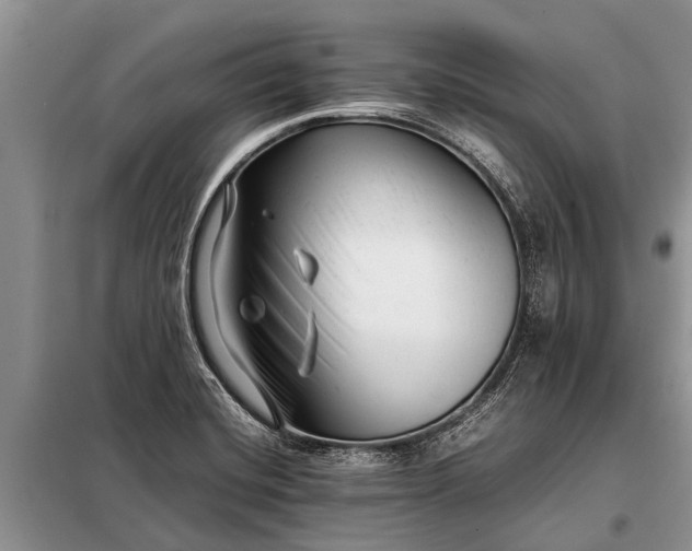X0000097961420200804071019