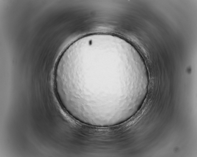 X0000097961421200804071019