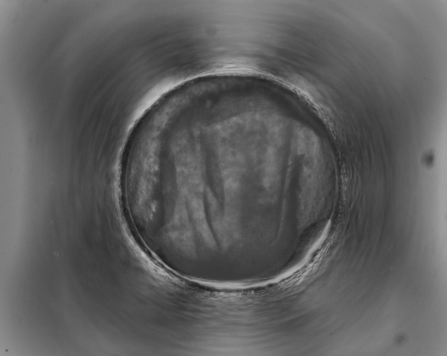 X0000097961422200804071019