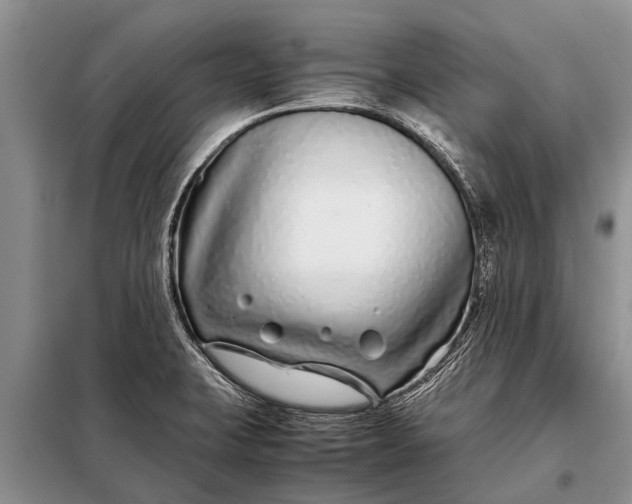 X0000097961423200804071019