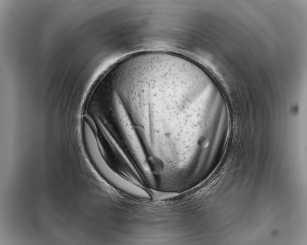 X0000097961424200804071019