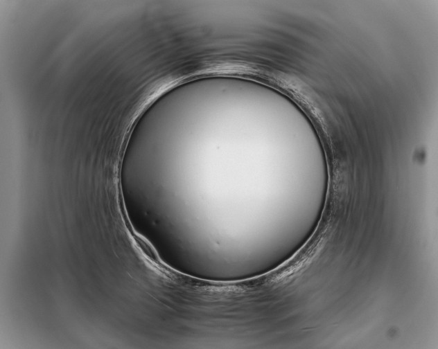 X0000097961425200804071019