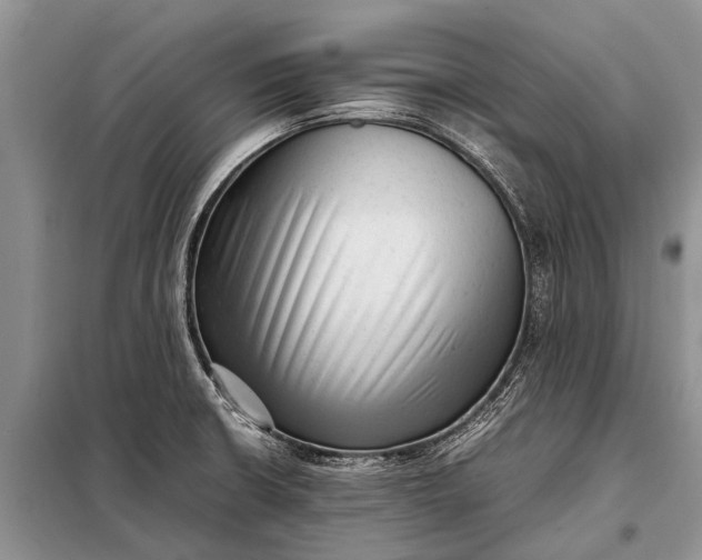 X0000097961426200804071019