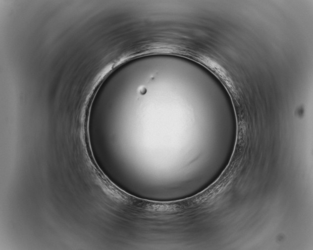 X0000097961427200804071019