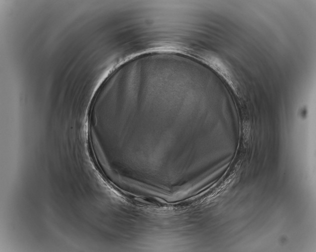 X0000097961428200804071019