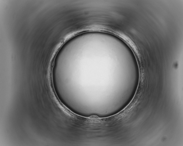 X0000097961429200804071019