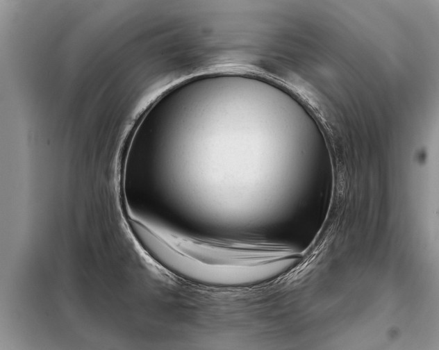X0000097961430200804071019