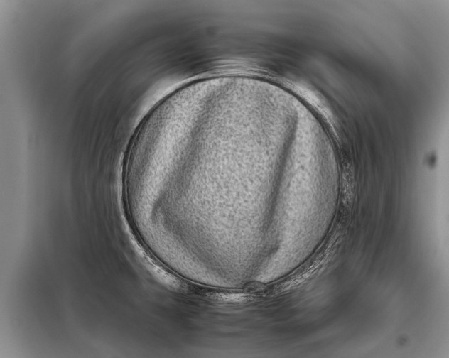 X0000097961431200804071019